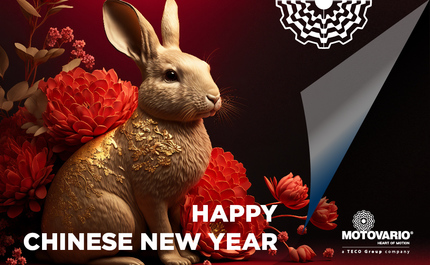 Nouvel An chinois : c'est l'année du lapin !