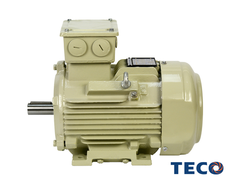Cast Iron motors ATEX