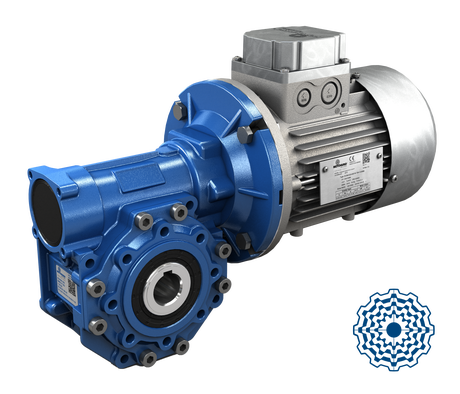 Worm gear reducers and combined units