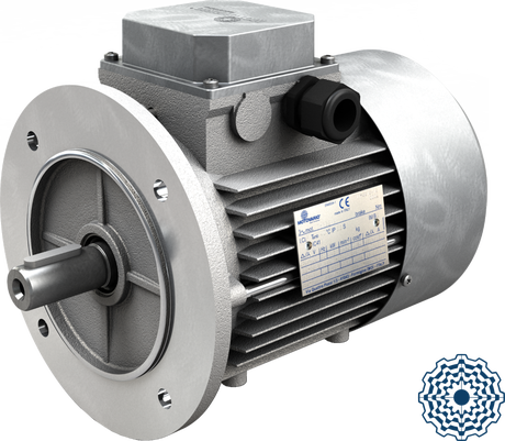 Three-phase and three-phase brake motors