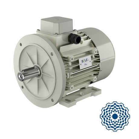 Self-starting synchronous motor