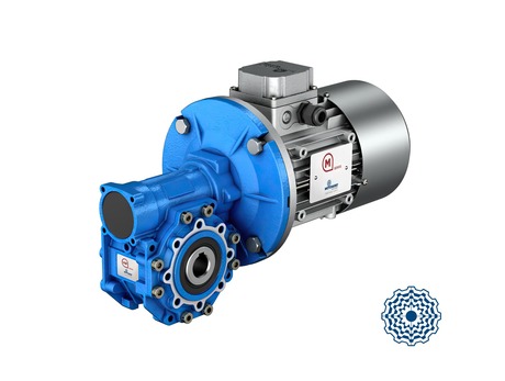 Worm gear reducers and combined units