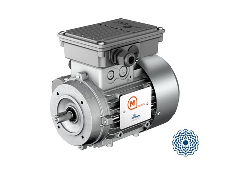 Einphasenmotor mit hohem Anlaufmoment