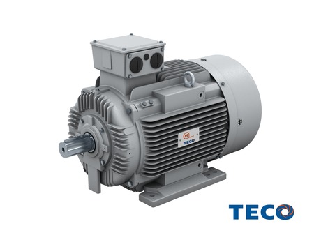 IEC Graugussmotoren